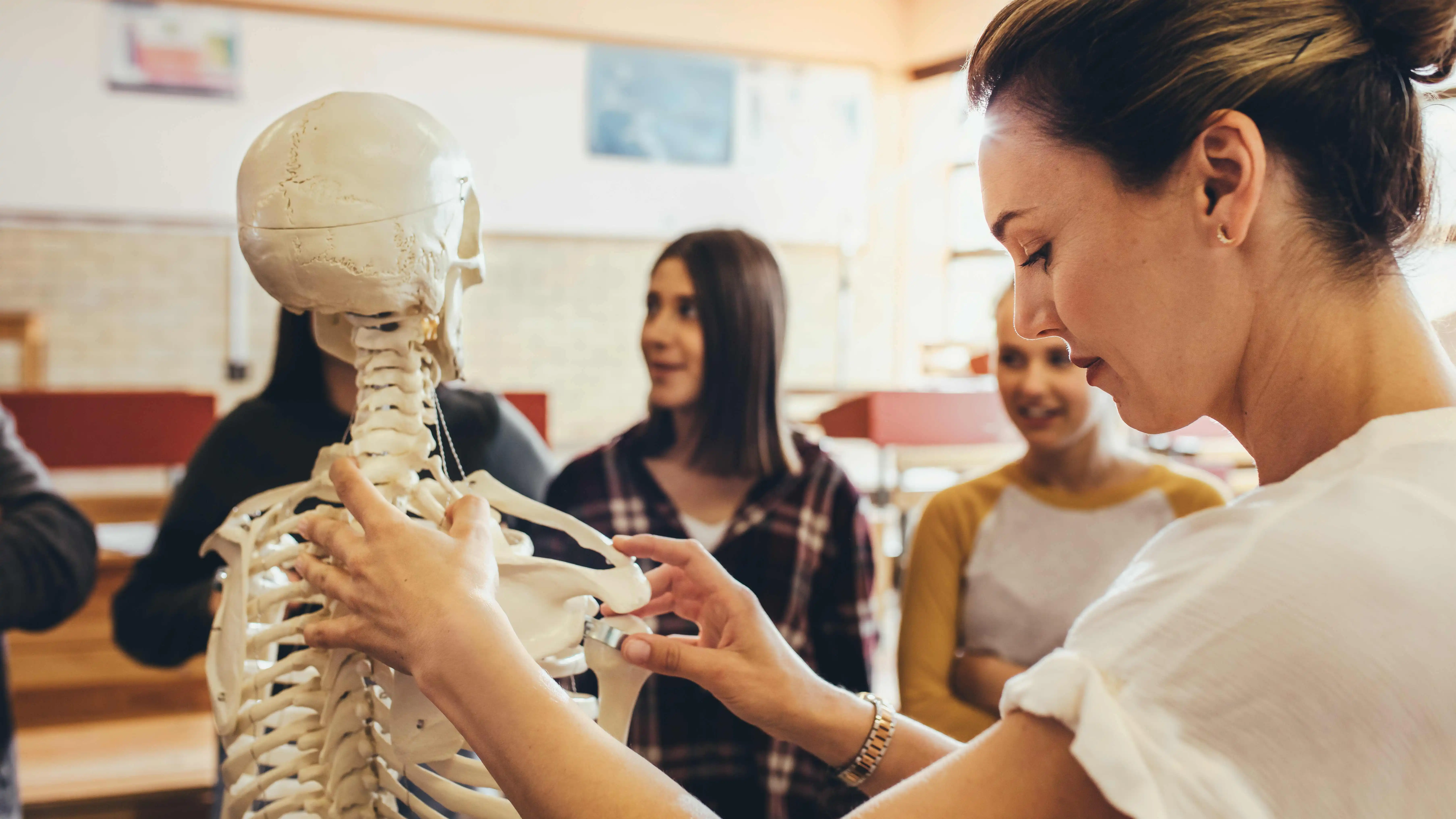 Jak najlepiej i najszybciej nauczyć się anatomii?