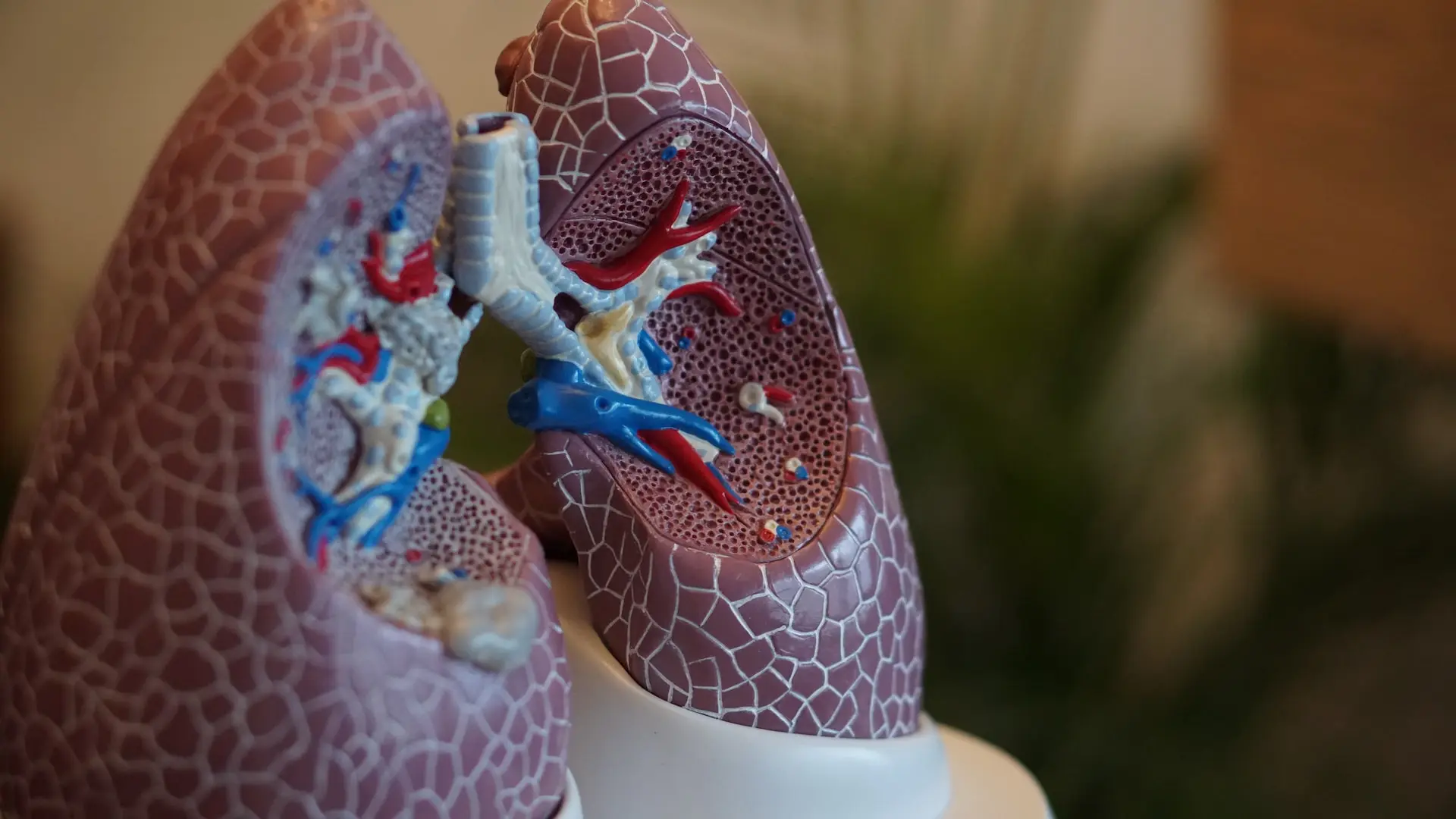 Na przewlekłą obturacyjną chorobę płuc cierpi ok. 2 mln Polaków