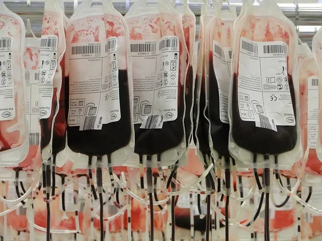 Algorytm określi, ile krwi powinien zamówić dany szpital. Innowacyjny projekt Polaków