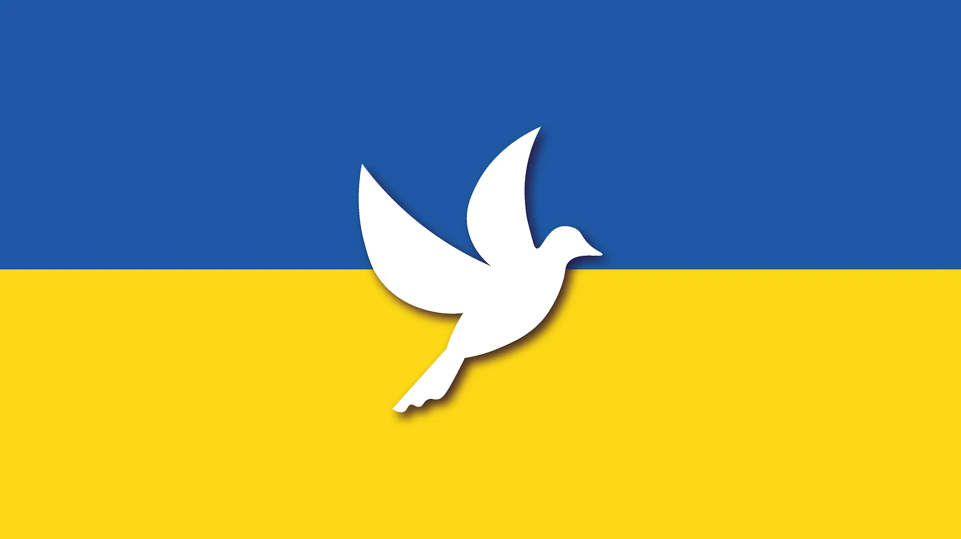 MZ: ofiary wojny oraz migranci z Ukrainy otrzymają bezpłatną pomoc medyczną