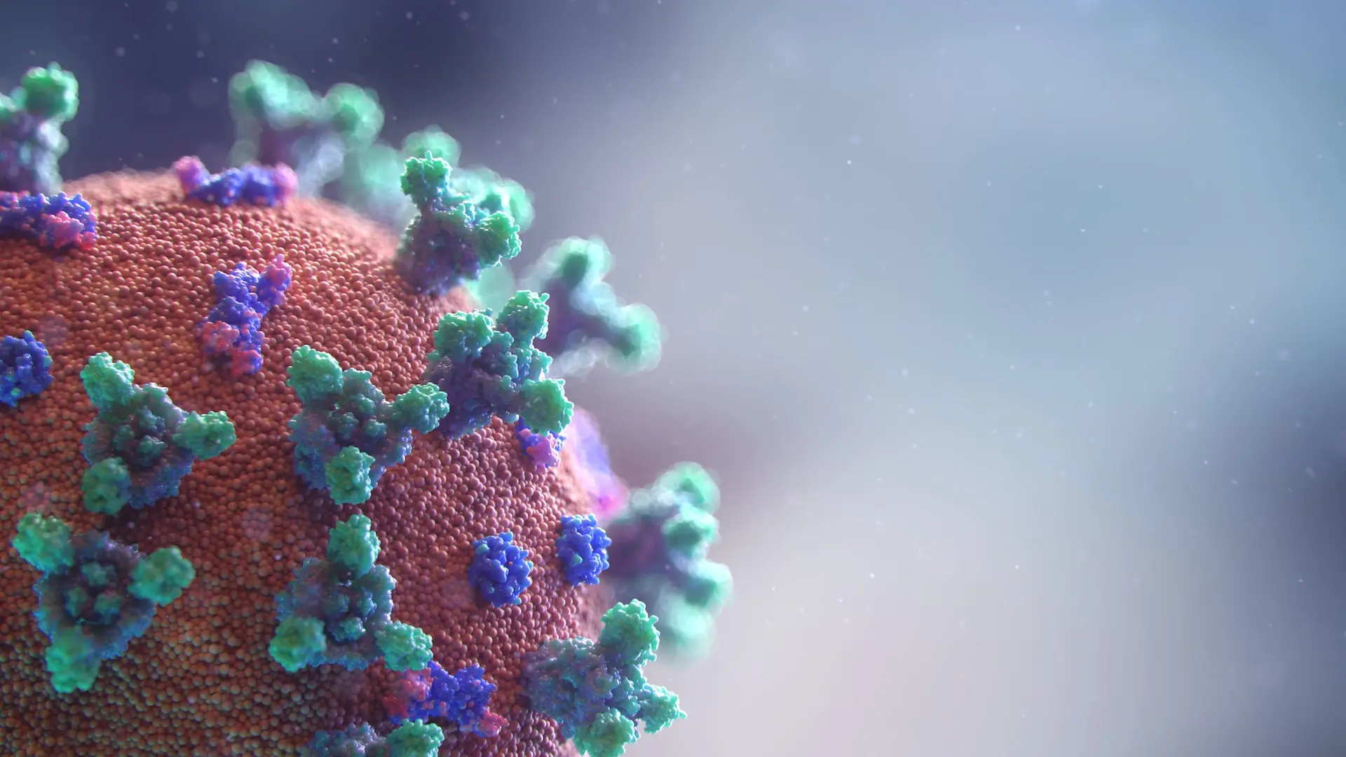Wirusolog: Jesienna fala koronawirusa nadejdzie w listopadzie lub w grudniu